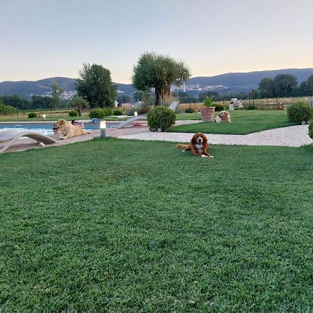 Agriturismo Tenuta Filippi Narni Zewnętrze zdjęcie