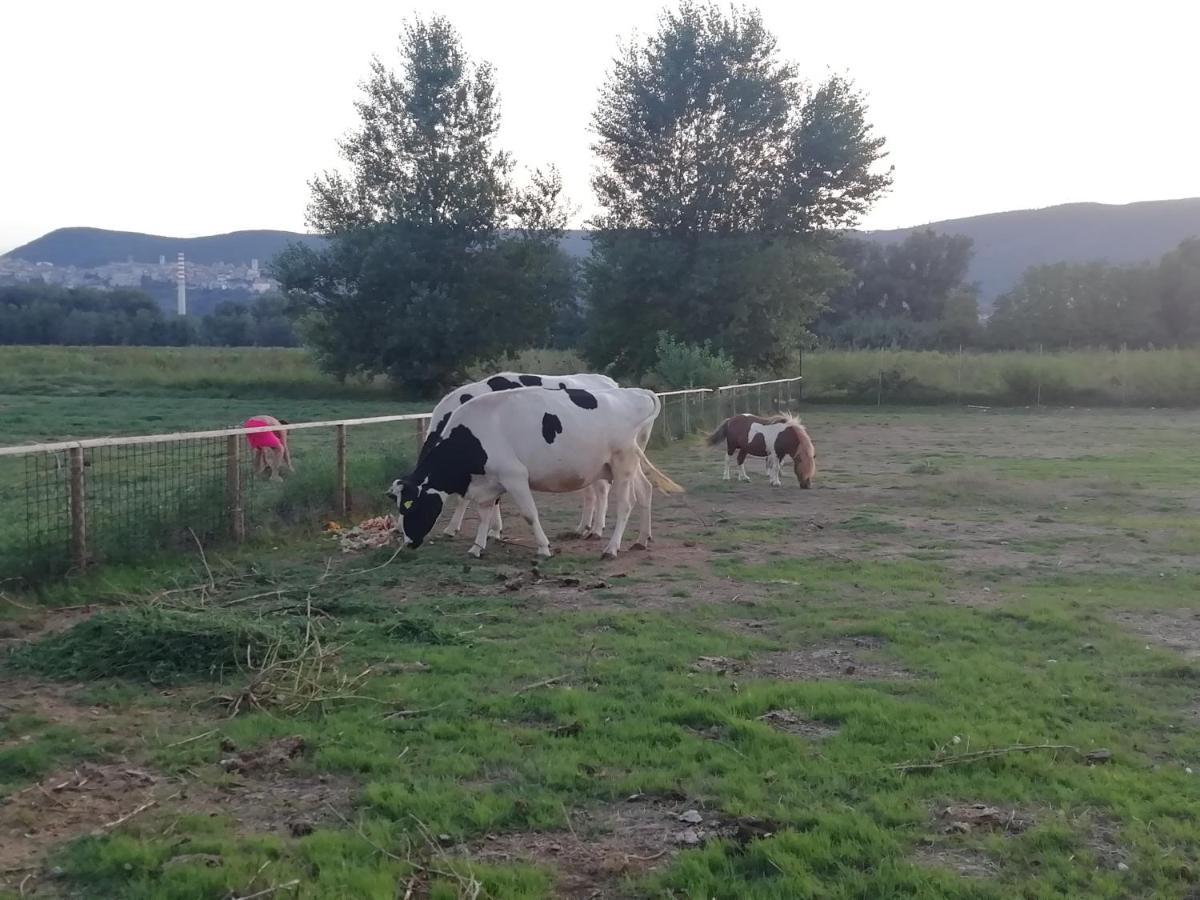 Agriturismo Tenuta Filippi Narni Zewnętrze zdjęcie