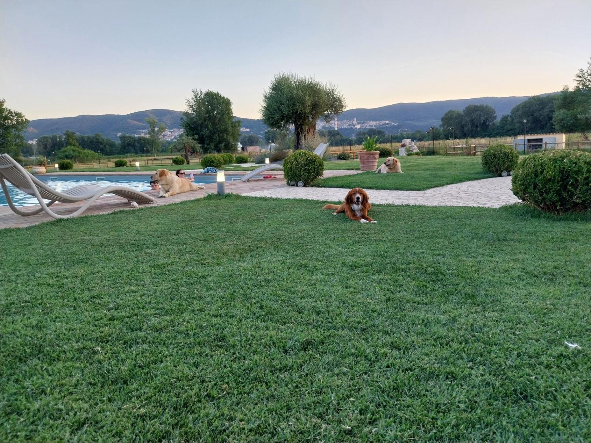 Agriturismo Tenuta Filippi Narni Zewnętrze zdjęcie
